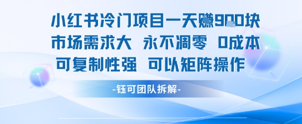 小红书冷门项目一天收益9张，市场需求大，0成本，可复制性强可以矩阵操作-二当家网创资源站