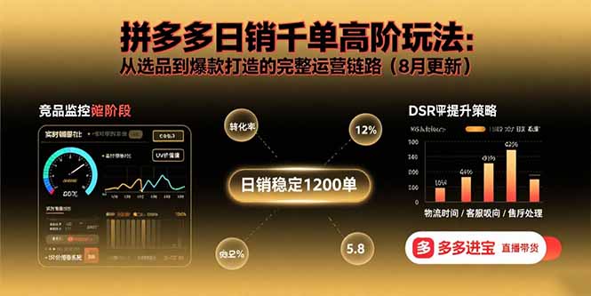 拼多多日销千单高阶玩法：从选品到爆款打造的完整运营链路(8月更新-二当家网创资源站